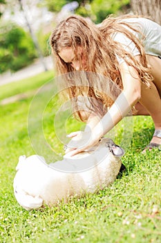 Girl plays with the dog pug and tickles him in the park on the green grass