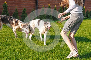 Girl plays with her dog on the lawn in the garden. Playing with animals while at home. Raising Pets