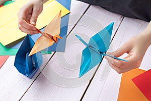 A girl plays with origami figures that she made herself. With your own hands a crane