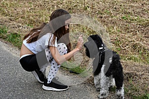 Girl and poodle dog