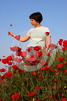 Girl on the poppies field looking on the alone poppy