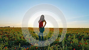 Girl on the poppy fields. Red flowers with green stems, huge fields. Bright sun rays.