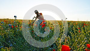 Girl on the poppy fields. Red flowers with green stems, huge fields. Bright sun rays.