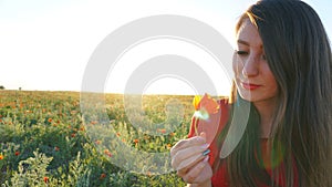 Girl on the poppy fields. Red flowers with green stems, huge fields. Bright sun rays.