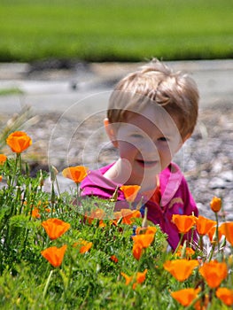 Girl with poppy flowers