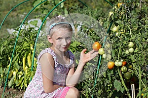 Girl poses in tomatoes garden