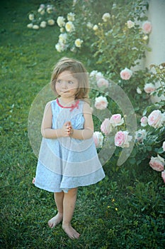 Girl with praying hands in summer garden