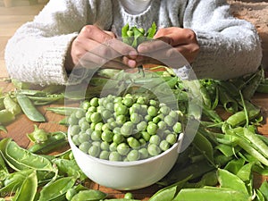 Girl hands selecting peas, healthy legume photo