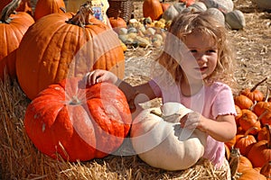 Girl pumpkins