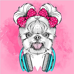 Girl puppy with cute bows. Yorkshire Terrier. Vector illustration