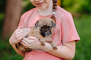 A girl with a puppy in her arms - best friend and companion, animal care