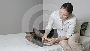 A girl puts a bandage on a bandage on an injured paw of a dog. Medical Treatment for Pets: Dog Dressing