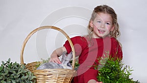 Girl and rabbit in basket with grass. Easter game child and pet. Animal at home.