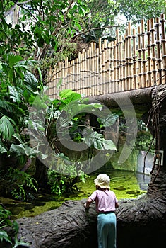 Girl in a Rainforest