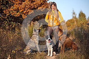 The girl is raising three dogs: Border Collie, Rhodesian Ridgeback and Hollandse herder