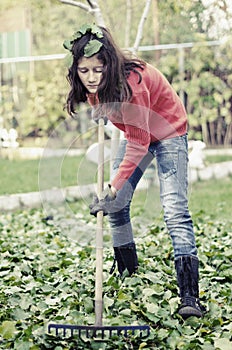 Girl with a rake tool cleaning garden green leafs