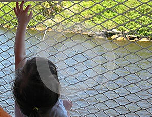 Girl reaching on fence