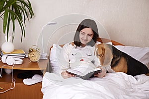 A girl is reading a book in bed under a blanket. A beagle dog is nearby.