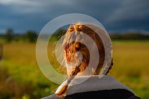 Girl With Red Hair in Braids Walks Through a Field in the Countryside