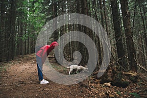 Girl in a red raincoat plays with two dogs on a forest path. Hiker woman and 2 mongrel men hiking through dark forest. Active