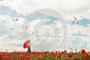 A girl with a red umbrella in a red poppy field and red petals of poppies whirling in the air.