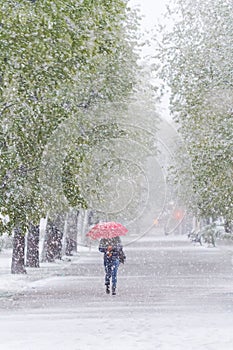 Girl with red umbrella walking in Snow Storm in April.