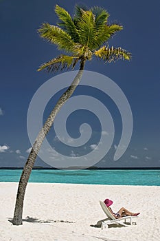 A girl relaxes under an isolated palm tree on a Maldives beach on the island of Thalhagiri Resort Maldives