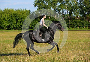 Girl ride gallop horseback on a field