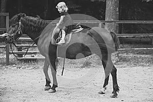 Girl ride on horse on summer day