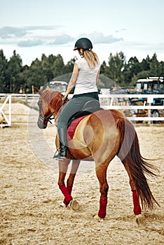 Girl rider on horseback. horseback riding