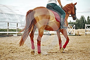 Girl rider rides a horse. leather boot in stirrup. Horseback Riding.