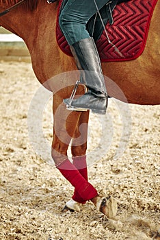 Girl rider rides a horse. leather boot in stirrup. Horseback Riding.