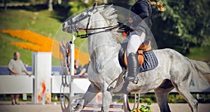 The girl rider sits in the saddle on a fast galloping gray horse and which performs at competitions on show jumping