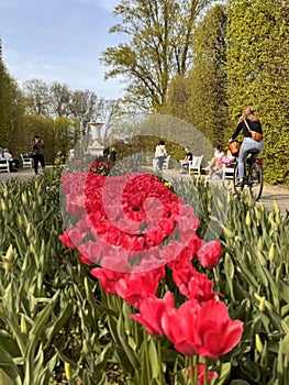 A girl rides her bicycle through the Royal Gardens of Warsaw, Poland - EU