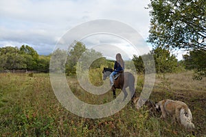 Girl rides on the meadow