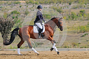 Girl riding bay dressage horse photo