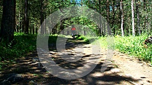 girl riding a bike in the forest on a dirt road