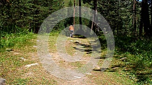 Girl riding a bike in the forest on a dirt road