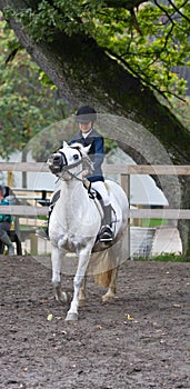 Girl riding on a horse.