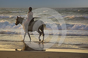 Girl riding horse on the beach at sunset. Horsewoman on the sea