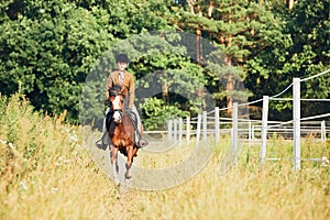 Girl riding a horse in nature