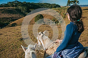 Girl riding horse in a rural landscape