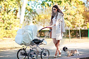 The girl rolls the stroller and walks the dog.