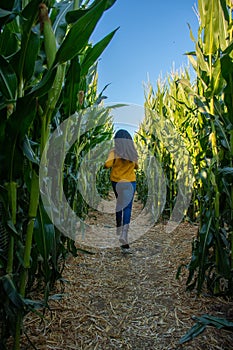 A girl running through the corn maze at the pumpkin patch, Spina Farm, California