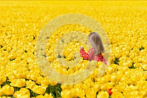 Girl running in a yellow tulip field