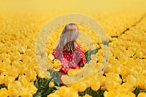 Girl running in a yellow tulip field