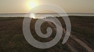 Girl runs barefoot along a country road to the setting sun, a cinematic dynamic scene sunset