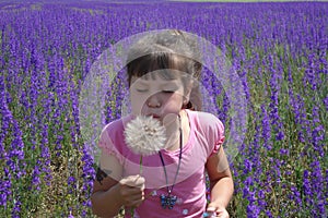 The girl's blowing on a big dandelion.  There are much purple flowers in the field.