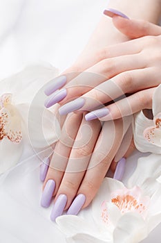 Girl`s hands with delicate purple manicure and orchid flowers