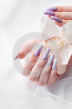 Girl`s hands with delicate purple manicure and orchid flowers